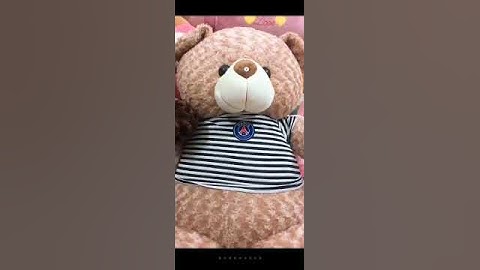 Gấu bông teddy mặc áo 1m6 giá bao nhiêu năm 2024