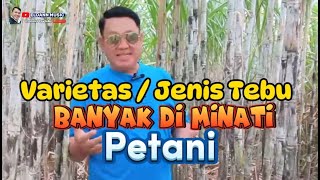 Varietas / Jenis Tebu Banyak diminati Petani