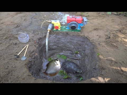 Video Máy Dầu Mini Bơm Đìa Bắt Cá - youtube
