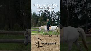 Freeing Valiants back and movement, new series of free tutorials