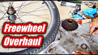 Multispeed Freewheel Overhaul