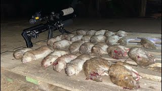 SHOOTING RATS BUILT LIKE CATS PART 2