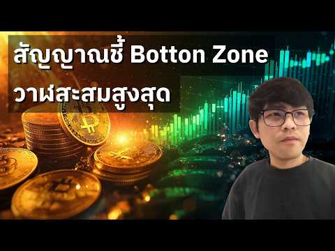 สัญญาณชี้ Bottom Zone วาฬสะสมสูงสุด ตลาดใกล้ฟื้นแล้ว ? (13/07/2026)