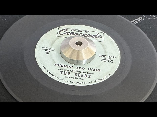 The Seeds - Pushin