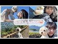 レオくんと河口湖🗻