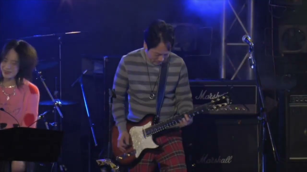 colorful, trench dogs cover, 目黒ライブステーション　the brown fields