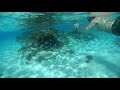 Half Moon Cay Nov 2017 Snorkle