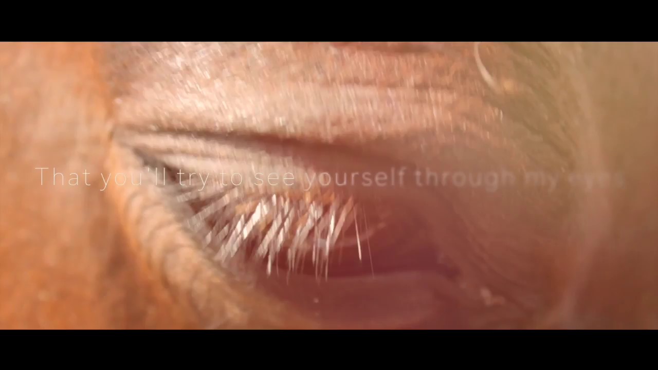 Goodbye to the equine community..hello future.