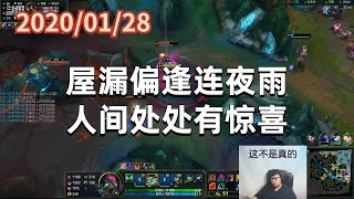 东北大鹌鹑0128P6木木:屋漏偏逢连夜雨,人间处处有惊喜