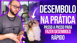 Desembolo na prática passo a passo para fazer desembolo rápido - Junior Borja screenshot 1