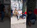 Big fun #prankwars #lol #reels #funny #comedyforever #prankvideo #fun #funnyprank #short