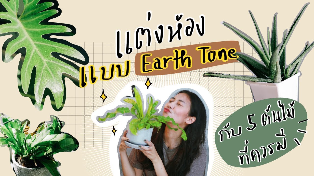 🌿เปลี่ยนห้องให้เป็น Earth tone กับ 5 ต้นไม้แต่งห้องที่ต้องมี!!