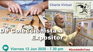 De coleccionista a expositor: cómo llevar tu colección al siguiente nivel