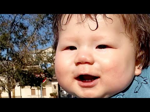 BABY HUNTER LOVES CARS (8 MONTHS OLD)