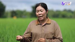 คนไทยหัวใจเกษตร 12 มกราคม 2564 B2