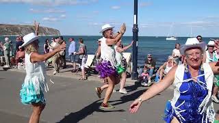 Swanage Carnival procession 2026 screenshot 4