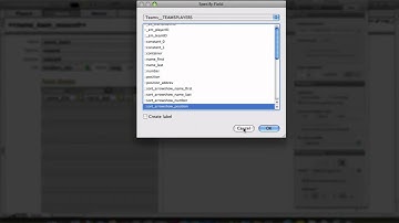Dynamic Portal Sorting in FileMaker Pro 11 Continued - Providing User Feedback