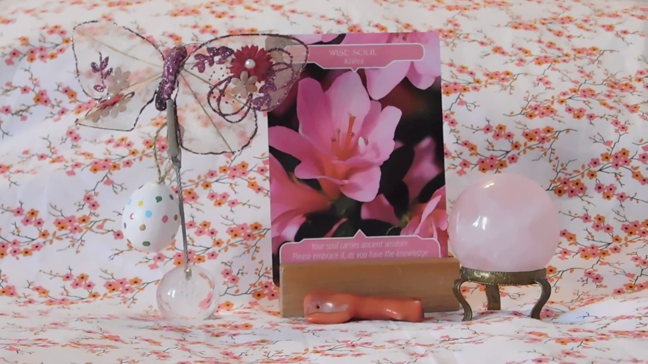 Daily Flower Therapy Card -Azalea -Wise Soul