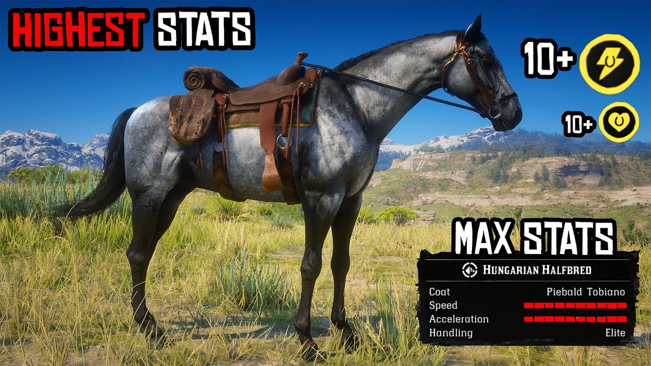 Perfect Weight Rdr2 Stats 7 Horses with the Highest Stats in RDR2 - YouTube