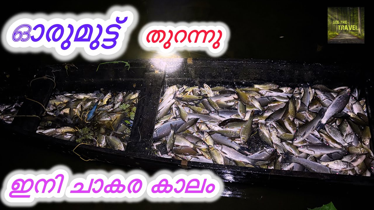 ഓരുമുട്ട് തുറന്നാൽ എന്റെ നാട്ടിൽ പിന്നെ ചാകര കാലം ആയി