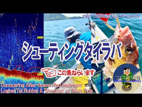 #467 [Tai Rubber Fishing off Takamatsu] Shooting during post-spawn slack tide