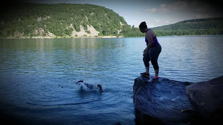 Colt jumping at Devil's Lake