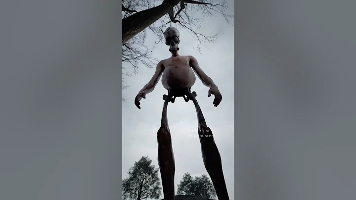 Somewhere in the forest