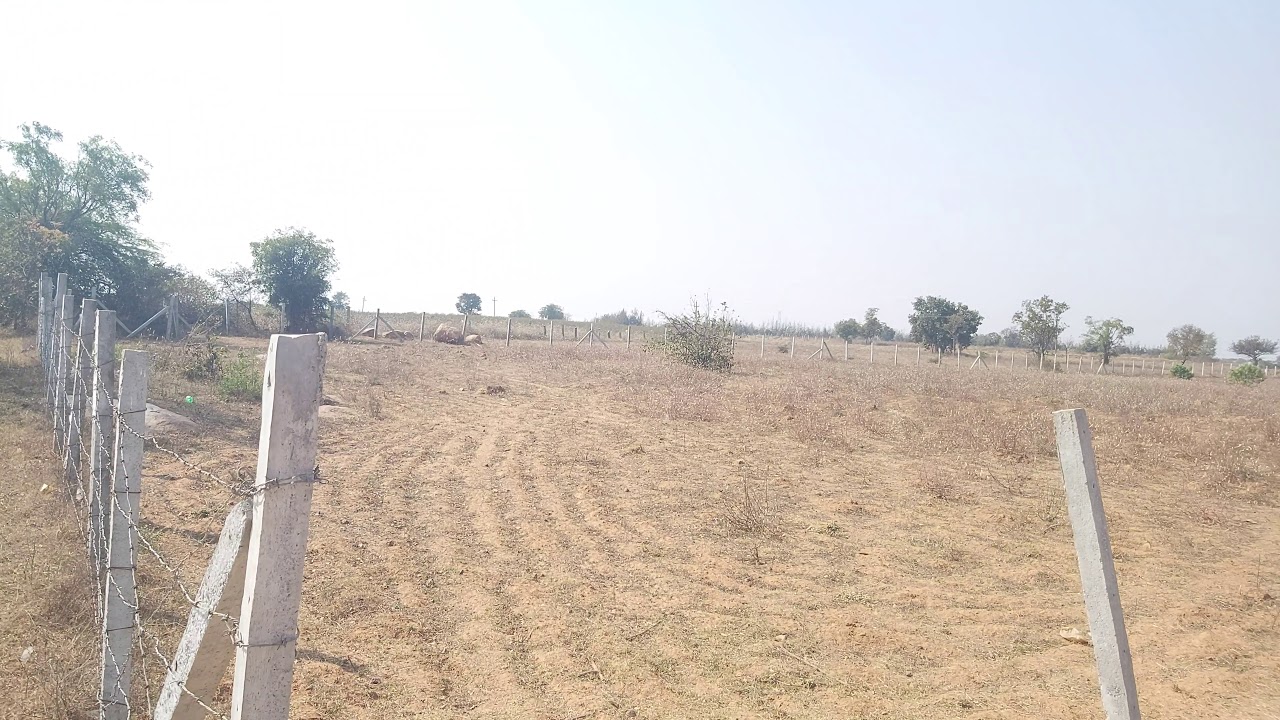 Agriculture Land for Sale YouTube