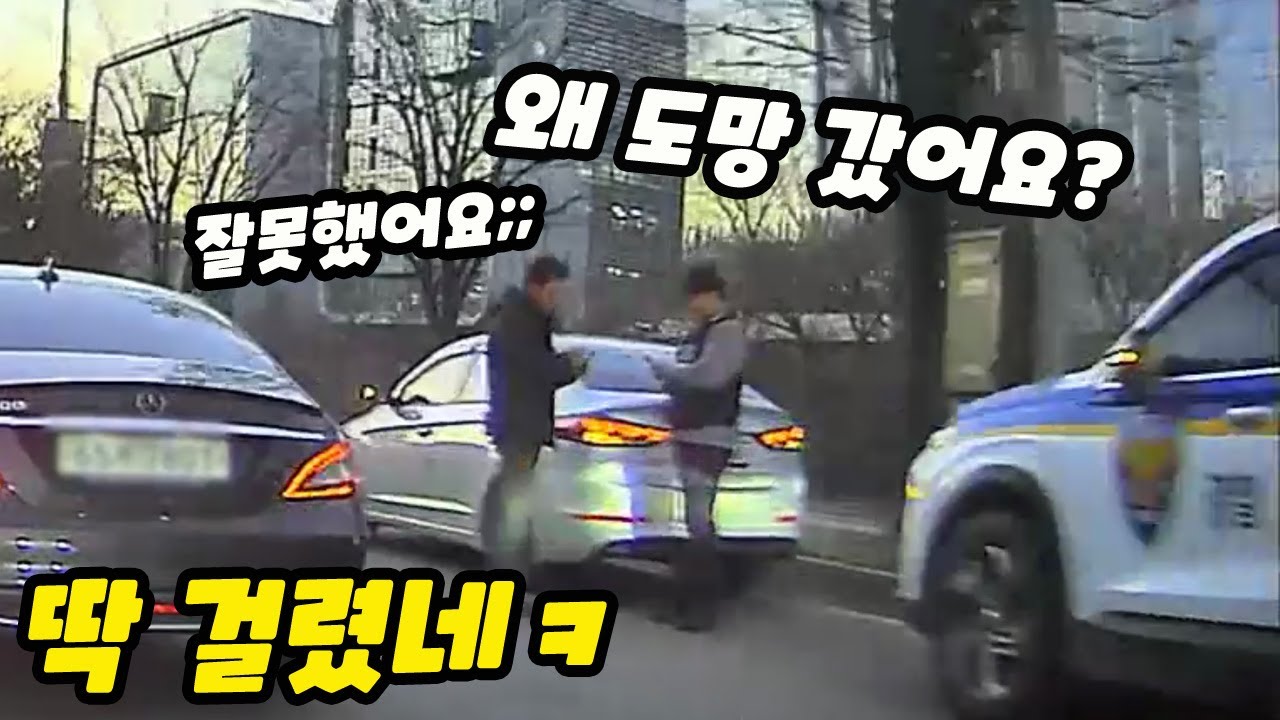 [노라준카 블랙박스] 민폐위반으로 도망가다 경찰에 산지직송 체험 ｜2024최신블박영상