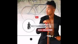 Download lagu NDIDAMABUTHO INTOMBI YEBANDLA