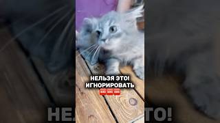 Ушные капли Harly. Артикул— #WW136726 — копируй и вставляй на WB.     #кошки #ушныекапли #ушнойклещ