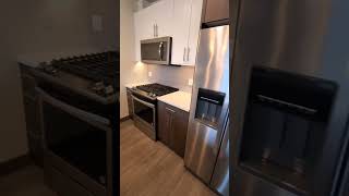 The Emerson Oak Park Il One Bed Luxury Apartment 704