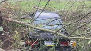 Storms Cause Damage In Greene County, NWS Expected To Investigate
