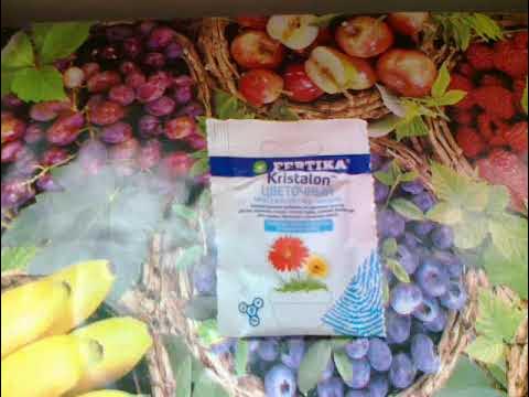 Фертика Кристалон цветочный. Лучшее для красивоцветущих растений. - YouTube
