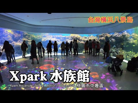 台灣橫濱八景島～桃園Xpark水族館，超療癒的旅程!!!