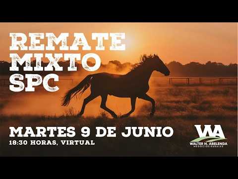 09-06-26 REMATE MIXTO SPC