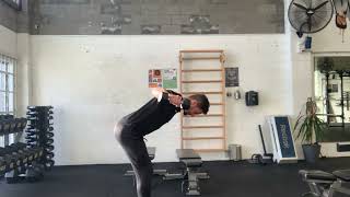 Bent Over Dumbbell Rear Delt Raises demonstration