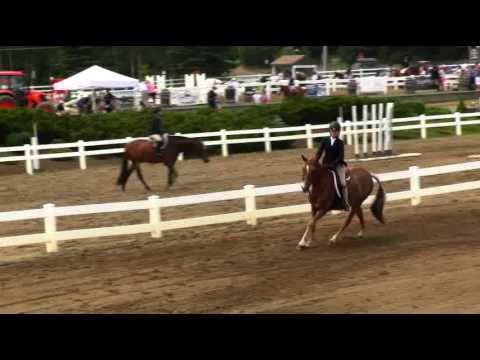 Video of SIMPLY HENRY ridden by BLYTHE RUPPEL from ShowNet! - YouTube