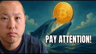 This Will Push Bitcoin HIGHER Than Expected!