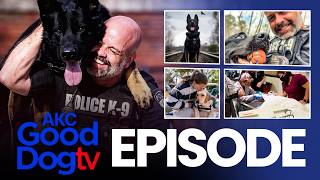 This K9 Fell 30ft and Still Caught the Suspect | AKC Good...