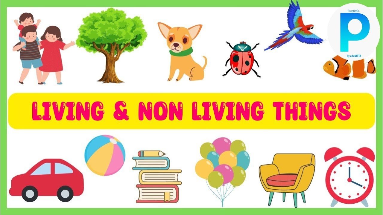 class-3rd-evs-living-and-non-living-things-youtube