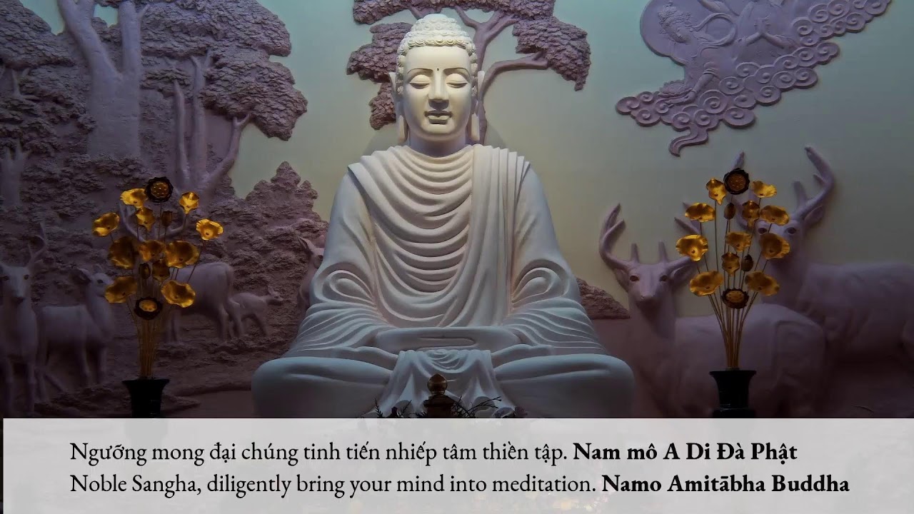 Trì Kinh Hoa Nghiêm – Tập 4 Phần 31 (7:30pm- Jun 12, 2023 – Trúc Lâm) Trì Kinh Hoa Nghiêm – Tập 4 Phần 31 (7:30pm- Jun 12, 2023 – Trúc Lâm)