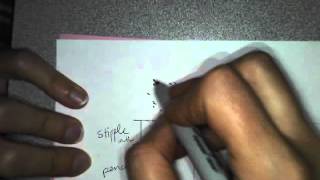 Art Survey How to create a value scale in sharpie marker.