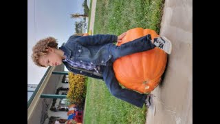 Gallrein Farms: Kentucky Pumpkin Patch