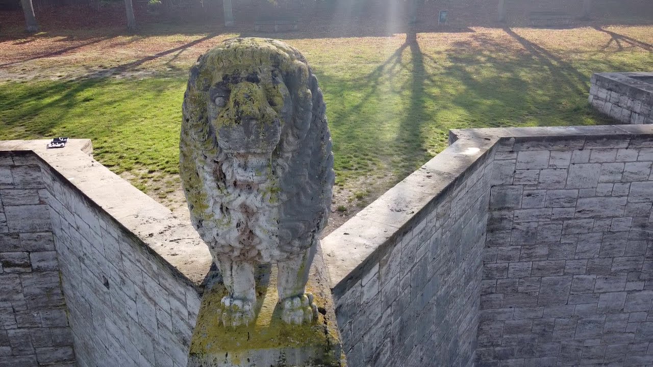 Mühlhausen aus der Sicht des Löwen.
