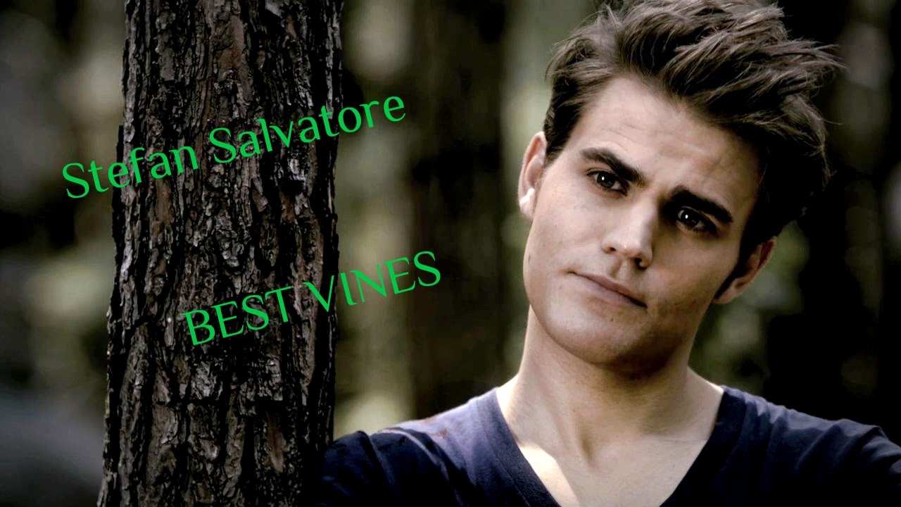 Stefan Salvatore l BEST VINES
