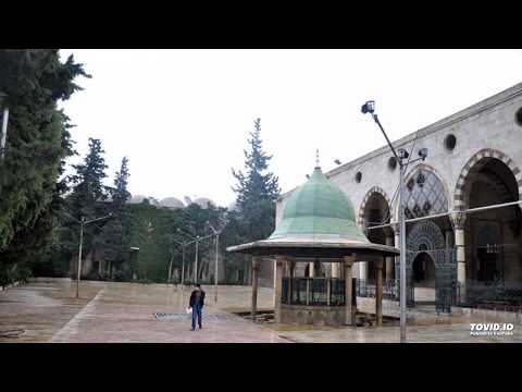 يا صاح ليس على المحب ملامة يا من لقلبي قد كوى ولم يجد لي بالدوا