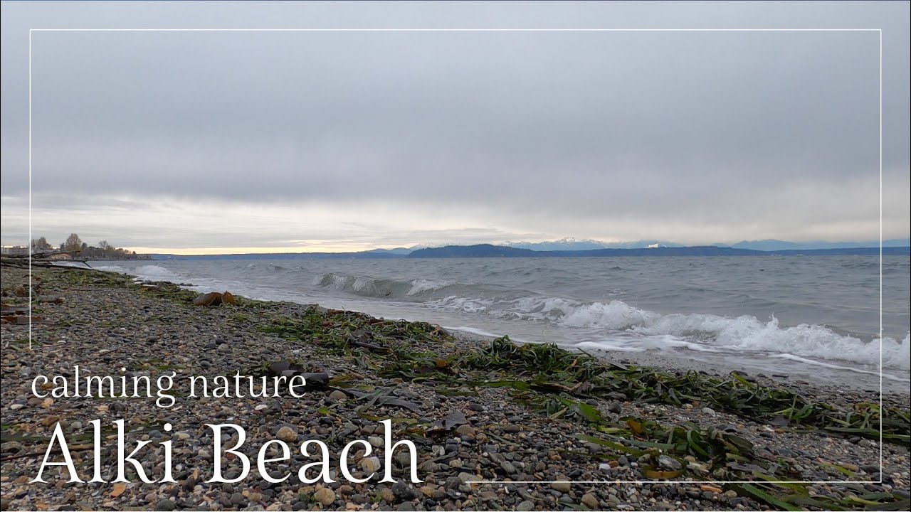Watching the Evening Tide come in at Alki Beach, Seattle (Peaceful