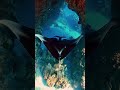 MANTA RAY POV: Gliding Through Hidden Coral Reef Tunnels! 🌊🌊