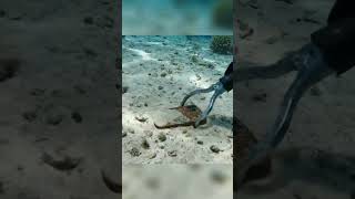 We Found Iphone 16 Pro Max Inside The Sea